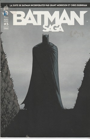 Fichier:BatmanSHS3.jpg