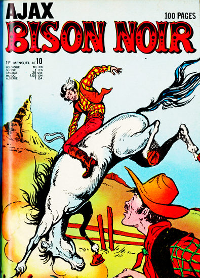 Fichier:BisonAjax 10.jpg