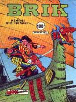 Fichier:Brik013.jpg