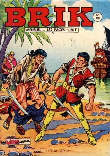 Fichier:Brik128.jpg