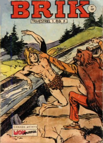 Fichier:Brik157.jpg