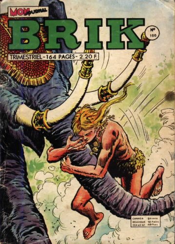 Fichier:Brik166.jpg