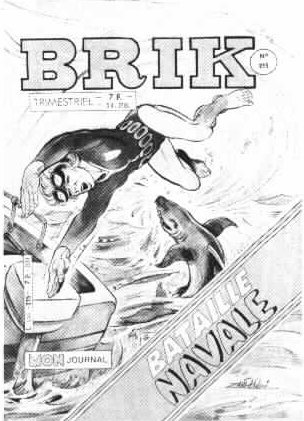 Fichier:Brik215..jpg