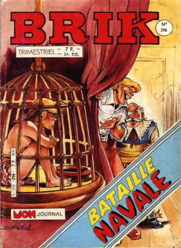 Fichier:Brik216.jpg