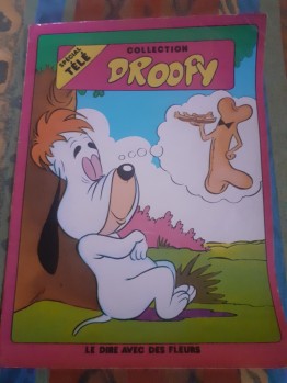 Fichier:C.Droopy5.jpg