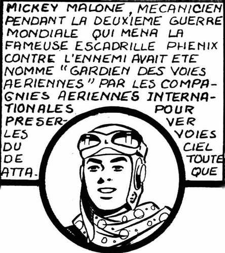 Fichier:Cobra5 MM.jpg