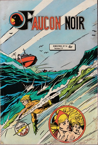 Fichier:FauconNoir18.jpg