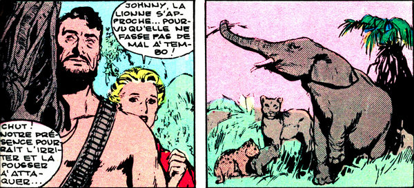 Fichier:Johnny-Safari 3.jpg