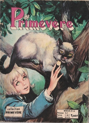 Fichier:Primevère044.jpg