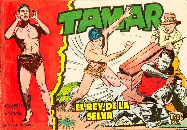 Fichier:Tamar001.jpg