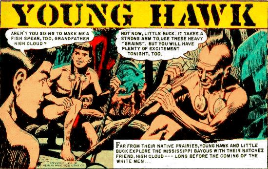 Fichier:Younghawk-LR40.jpg