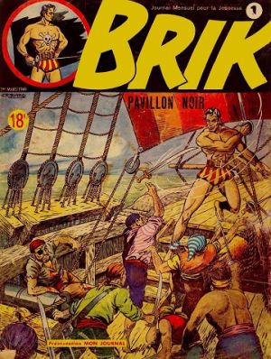 Brikrc01.jpg