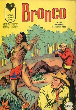 Bronco44.jpg