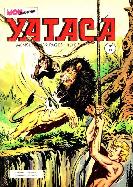 Fichier:Yataca071.jpg